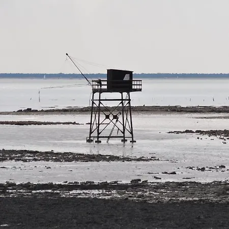 Buddleia * Cherbonnieres (Charente-Maritime)