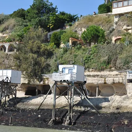 Buddleia Casa de Férias