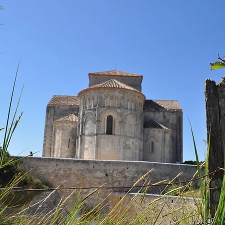 Buddleia * Cherbonnieres (Charente-Maritime)