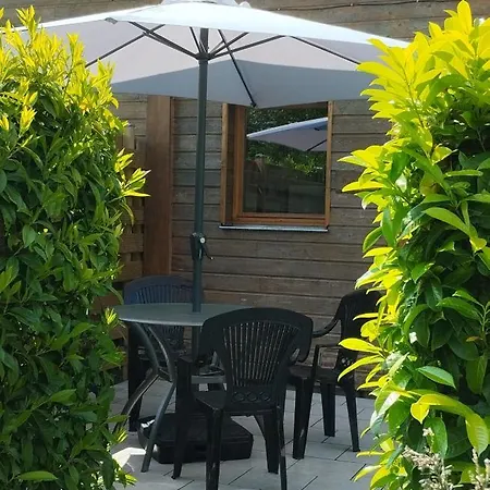 Buddleia Ferienhaus