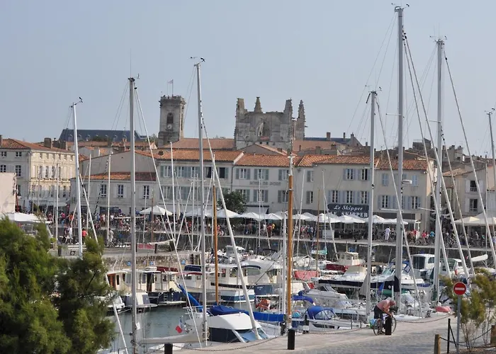 Buddleia Cherbonnières