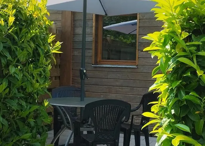 Buddleia Ferienhaus